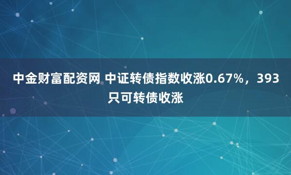 中金财富配资网 中证转债指数收涨0.67%，393只可转债收涨